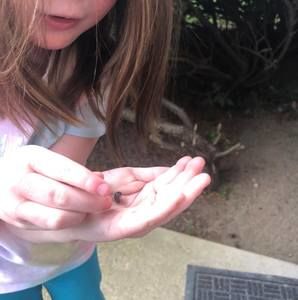 Meet your Posher, Ema